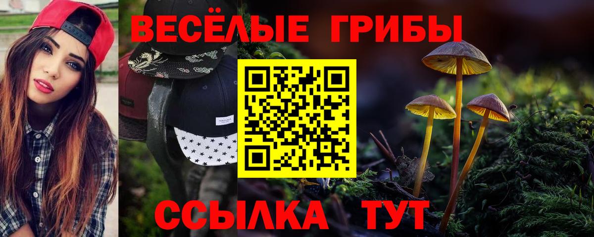 Псилоцибиновые грибы MAGIC MUSHROOMS  Вход с VPN  магазин    Альметьевск 
