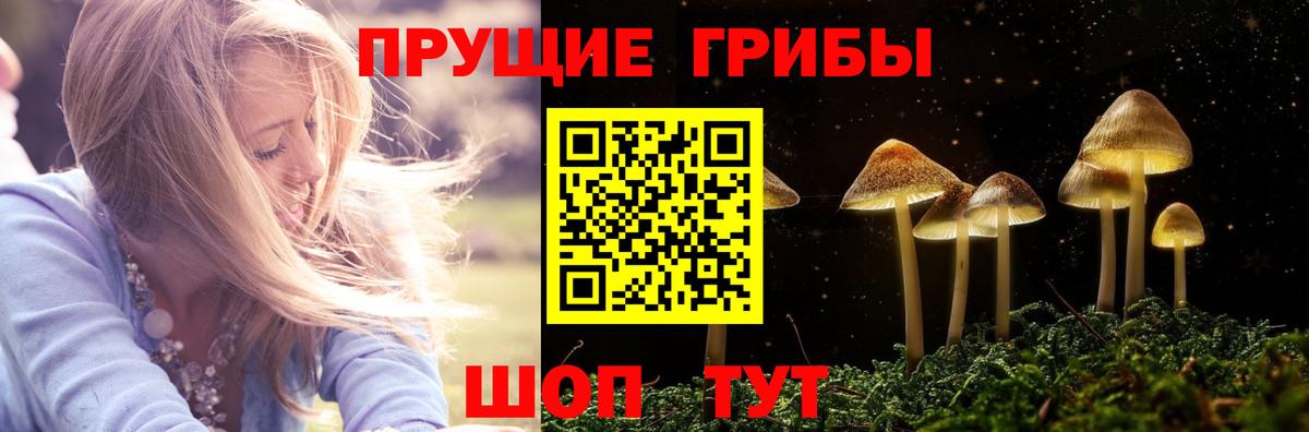 Псилоцибиновые грибы мухоморы Альметьевск